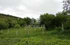 Teren intravilan | Budiu Mic | 994 mp - 4