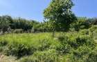 Teren Construcții intravilan de 470 mp, în Bună Ziua - 1