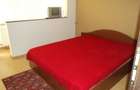 Apartament cu 2 camere decomandat în Sala Palatului - 5