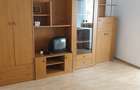 Apartament cu o camera Sagului - 1