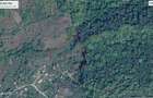 Teren 11.454 mp langa padure Soimari, Prahova 4.709 mp intravilan + 6.745 mp extravilan - 2