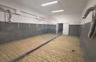 Spatiu productie alimentara 265 mp, Dambul Rotund - 1