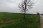 Teren 6000mp, 30 ml deschidere la DN 2H, Horodnic de Jos, Ra - 4
