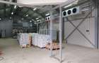 Depozit refrigerare de 292mp Dumbrăveni, Suceava - 8