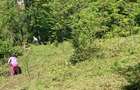 DOMENIU EXCLUSIVIST Băile Govora: 2500 mp cu Helesteu, Pârâu, Pădure, Utilități - 2