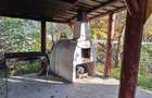 Cabana Valea Gepisului - 1