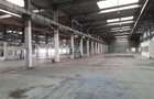 Spațiu comercial, de 20,000 mp, în Timișoara - 19