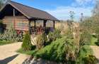 PROPRIETAR, Vand casa + 1800 mp teren + afacere la cheie - 6