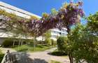 Apartament cu 4 camere decomandat în Chitila - 14