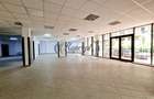 Spațiu comercial, de 195.85000610352 mp, în Mărăști - 1