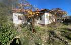 Casa tradi?ionala cu teren 4.500 mp ?i anexe gospodare? - 2