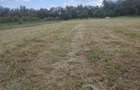 Vand teren extravilan Barcea mica 2400mp teren drept cerna la 20m perfect pentru livada, rulota - 1