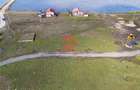 Teren Intravilan 615 mp Langa Lac, Corbu - 5