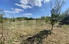 Teren intravilan de 1500 mp, în Aghireș - 3