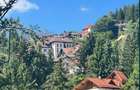 Sinaia - Furnica Urgent - Teren 1200 mp - 1