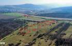 Oportunitate Investitie: Parcele de 1.000 mp la un pas de Transalpina! - 3