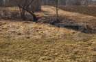 Teren extravilan de vanzare, 40 ARI, zona Racsa - 3