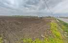 19.100mp, intravilan, E85, 60m deschidere in Secuienii noi - 3