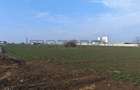 Teren Construcții intravilan de 15600 mp, în Dragomirești-Deal - 4