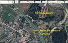 Gheraiesti - str. Arinilor - 1.000mp - 2