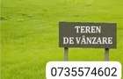 Teren Intravilan 1020 mp Becicherecu Mic - 3