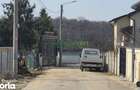 Teren de vanzare 500 mp, Cernica, langa lac - 3