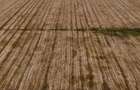 Teren extravilan 2.3 hectare de vanzare DN21 Calarasi spre Slobozia - 2