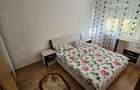 Chirie 2 camere Micalaca - 4