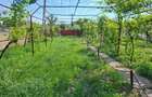 Casa + teren 1.000 mp, 20 m deschidere la strada principala, Vladuleni, Gorj - 5