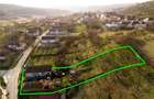 RECO Casa la tara intr-o zona pitoreasca, la 28km de Oradea - 5