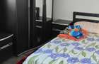 Inchiriez garsoniera Dambul Rotund, strada Caprioarei nr.3, 54mp cu 2 camere living bucatarie baie, toate renovateutilata full. - 7