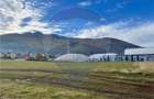 Teren intravilan in Bunloc - 749 mp - investitie - 4