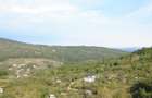 Domeniu pentru dezvoltare : casa, teren, livada, padure SOIMARI PH - 7
