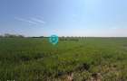 Teren 10.000 mp | Certificat de Urbanism | Ideal Ansamblu Reziden?ial - 3