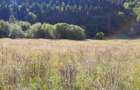 Teren Intravilan | Schitu Tarcau | 2089MP | Izvor | Platou - 12