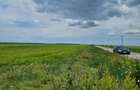 Vand teren Carani la sosea spre Baile Calacea 1.16 HA - 3