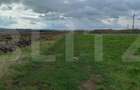 Blitz propune spre vanzare teren extravilan in Jucu 2877mp, - 1