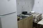 Apartament 1 camera bUCOVINA - 1