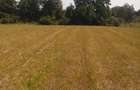 Teren intravilan de 5000 mp, în Big-Bascov - 4