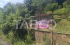 Teren extravilan de 2500 mp, în Rășinari - 8