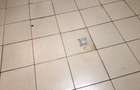 Spatiu comercial Huedin/Brancoveanu 102 mp si terasa 200 mp - 13