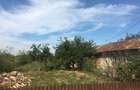 Urgent vand casa batraneasca Com.Crivat Jud.Calarasi direct proprietar - 7