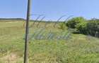 Teren Intravilan 2000mp + 3000mp Extravilan | Zona Ghirlot - Alunis | - 3