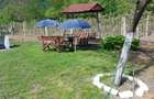 Vand casa ?i gradina - 2