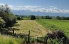 Casa cu gradina roditoare si teren 3000 m2 de vanzare Sacadate, Sibiu / House with Garden and 3000 m2 Land for Sale Sacadate, Sibiu - 3
