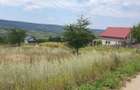 Teren Chicirea (Tomesti) 1.219 mp, 20 euro/mp ( 25.000 ) - 5