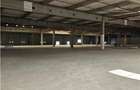 Spatiu Industrial - 7000 mp - Logistica - Productie - Depozitare - Distributie - 18