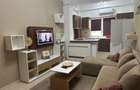 Apartament 2 camere de inchiriat Alpha Rezidence 1 - 5