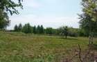 Teren intravilan de 900 mp, în Casele Micești - 3