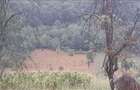 Vand teren intravilan foarte mare, 6700m2 in loc. Buceava, Com. Gurahont - 3